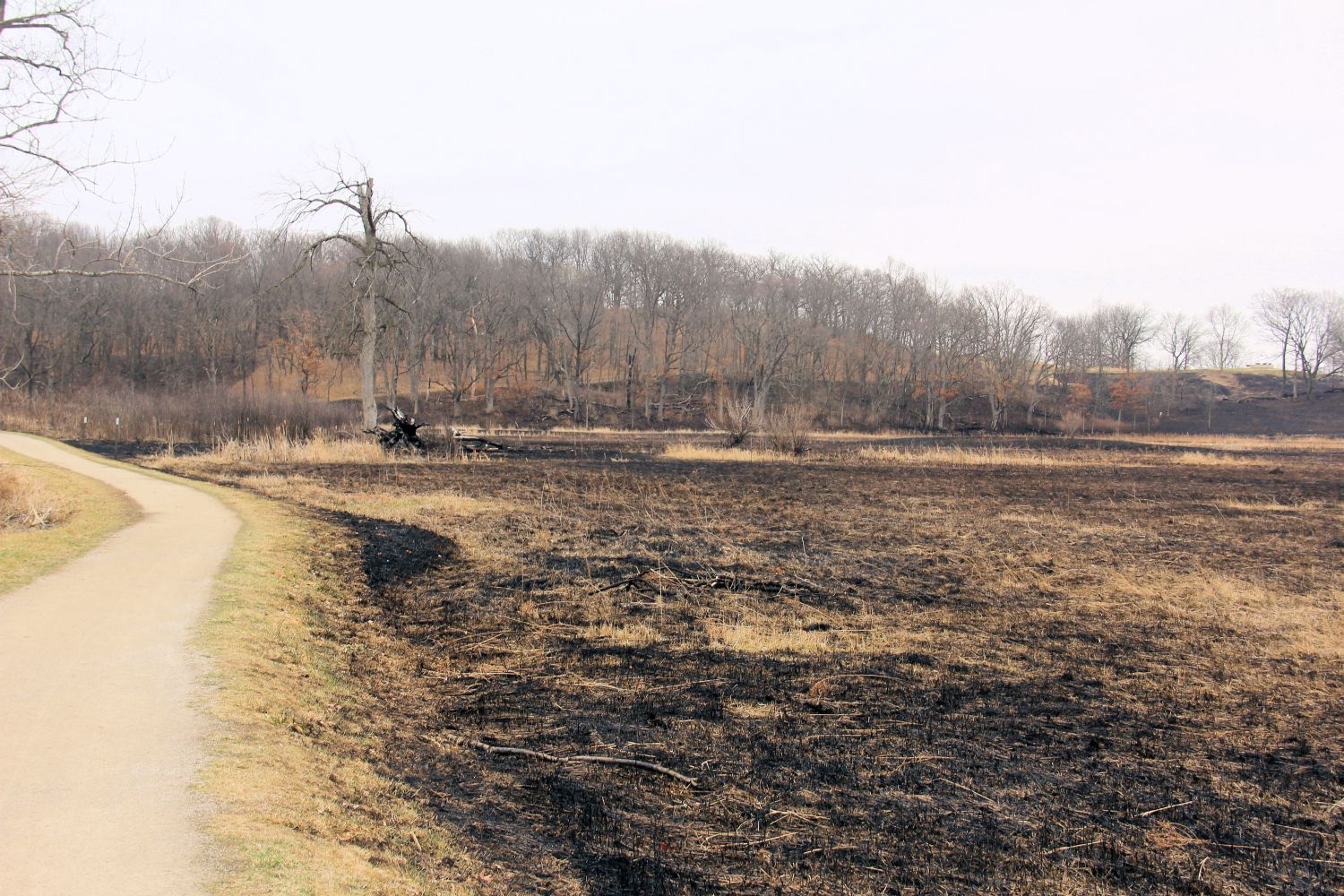 Morraine Hills State Park 